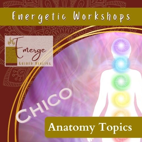 Graphic image of energy centers along the center of a body lit up in rainbow colors. Text reads: Energetic Anatomy Workshops in Chico, CA