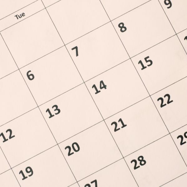 Blank calendar with a pencil resting on it.