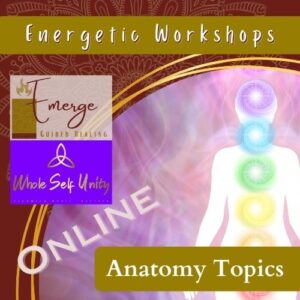 Graphic of a person in a swirl of light with chakras lit up and glowing. This month's online energetic healing workshop features energetic anatomy topics.